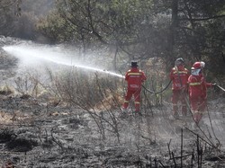 Bromo Kembali Dibuka 20 Agustus 2026 Usai Kebakaran Padam