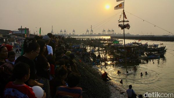Keseruan Warga Kampung Kerang Panjat Pinang di Tepi Laut