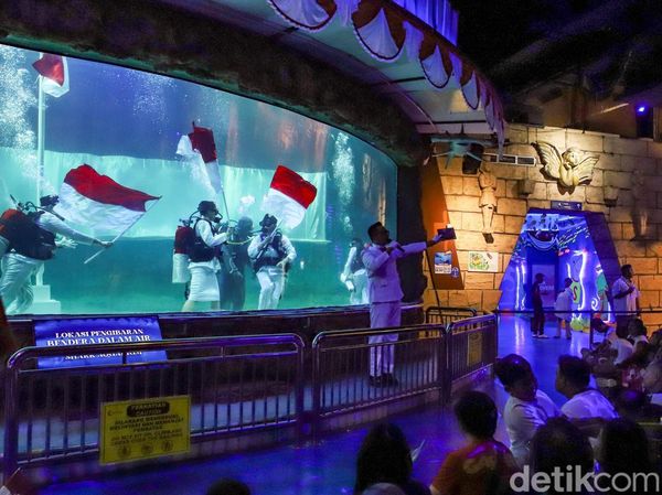 Merah Putih Berkibar di Bawah Air