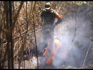 Tebing Terjal Tak Halangi Operasi Mitigasi Karhutla Susulan di Bromo