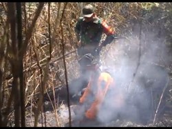 Tebing Terjal Tak Halangi Operasi Mitigasi Karhutla Susulan di Bromo