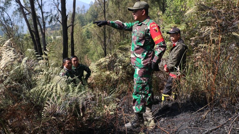 Momen Petugas Padamkan Karhutla di Semeru Secara Manual