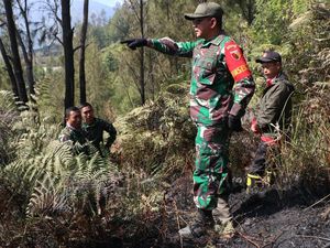 Momen Petugas Padamkan Karhutla di Semeru Secara Manual