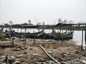 Nelayan Tambakrejo Semarang Sambat Gagal Panen Kerang Hijau