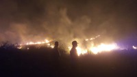 Kebakaran 20 Hektare Lahan di Gunung Kalendeng Touna Dipicu Puntung Rokok