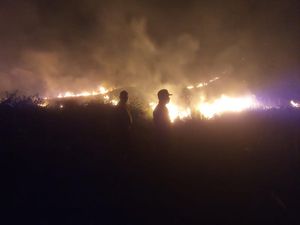 Kebakaran 20 Hektare Lahan di Gunung Kalendeng Touna Dipicu Puntung Rokok