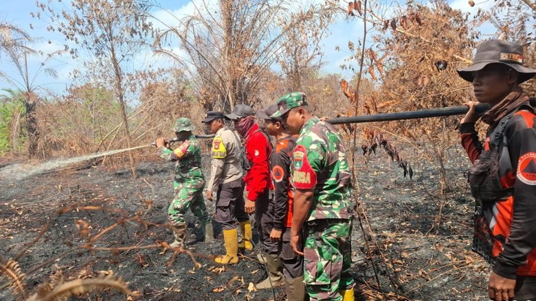 Upaya Padamkan Karhutla di Bengkalis, 3 Titik Prioritas karena Minim Air-Lahan Gambut