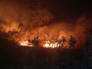 BPBD Catat Karhutla di Belitung Timur Sejak Januari Capai 328 Hektare