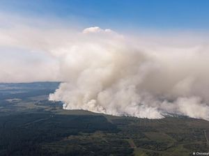 Kebakaran Hutan Terbesar Landa Belgia, Bantuan Eropa Berdatangan