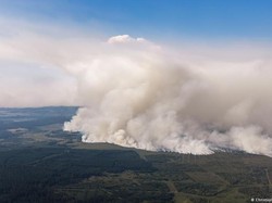 Kebakaran Hutan Terbesar Landa Belgia, Bantuan Eropa Berdatangan