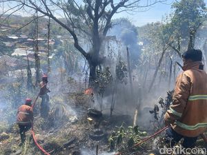Kebakaran 1 Hektare Lahan Nyaris Merembet ke Permukiman Warga Parepare