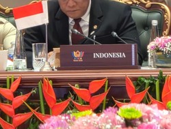 Di Forum Anggota BRICS, Menteri LH Tegaskan Isu Iklim Bukan Agenda Pinggiran