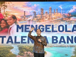 Mentrans Puji Aksi Tim Ekspedisi Patriot UI Bangun Jembatan di Papua Barat