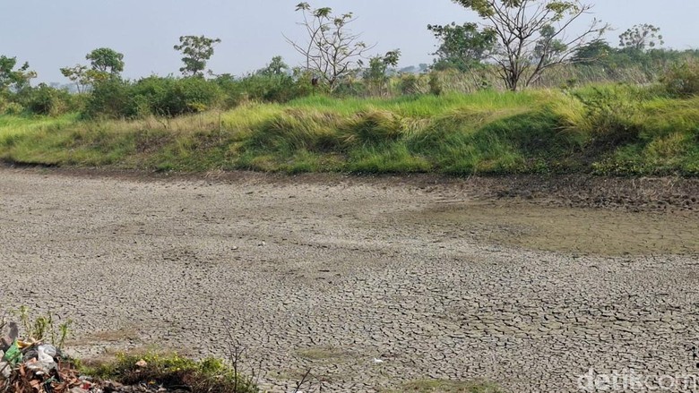 Pakar Sebut Mitigasi Karhutla dan Kekeringan Imbas El Nino Belum Optimal