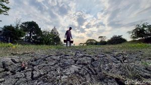 Ratusan Waduk dan Irigiasi di Gresik Mengering