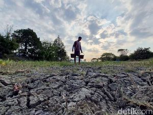 Ratusan Waduk dan Irigiasi di Gresik Mengering