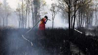 Studi: Asap Kebakaran Hutan Tak Cuma Serang Paru-paru