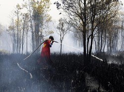 Video: Kala Superman Berjibaku Padamkan Karhutla di Kalimantan