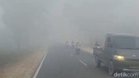 Karhutla di Mana-mana di Kalimantan, Ini Daftar Titik Wilayahnya