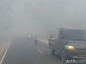 BMKG Ungkap 4 Provinsi Paling Banyak Hotspot Karhutla, 3 Ada di Kalimantan