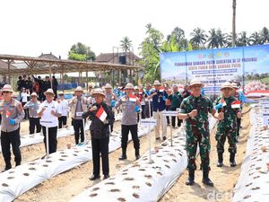 Ditanam Serentak di 17 Provinsi, Gianyar Jadi Pioner Tani Bawang Putih di Bali