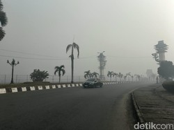 12 Penerbangan Terdampak Akibat Asap Karhutla di Banjarbaru Kalsel