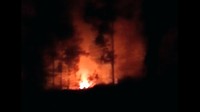 Lereng Gunung Ijen Bondowoso Terbakar, Api Ancam Perkebunan Kopi