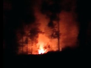 Kawasan PTPN dan Perhutani di Lereng Gunung Ijen Bondowoso Terbakar