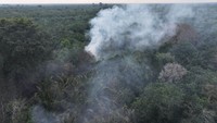 Polri Tetapkan 72 Tersangka Karhutla di Kalimantan, Sumsel hingga Riau