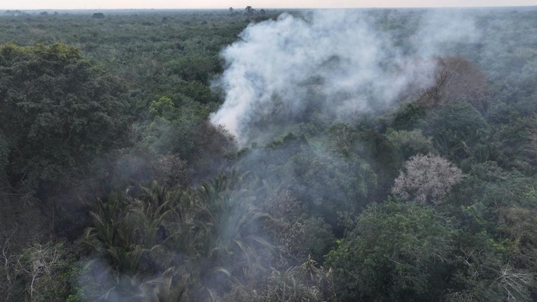 Pria di Bengkalis Jadi Tersangka, Diduga Sengaja Bakar Lahan Sampai 1 Hektare