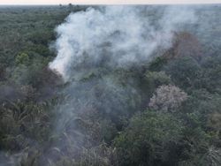 Polri Tetapkan 72 Tersangka Karhutla di Kalimantan, Sumsel hingga Riau