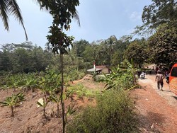 Ki Danu Bunuh Tetangga gegara Batas Tanah di Tasikmalaya