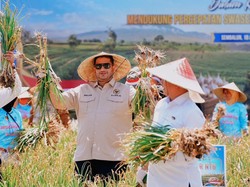 Rajiv Puji Kapolri Cepat Tangkap Keinginan Presiden Swasembada Bawang Putih