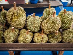 Berburu Kuliner Lokal, Ini 4 Destinasi dengan Jajanan Berbahan Dasar Buah