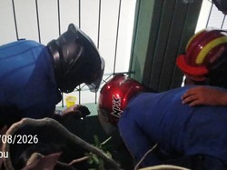 Bocil di Bogor Terjepit di Besi Gorong-gorong Saat Ambil Bola, Damkar Evakuasi