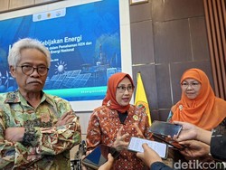 DEN Dorong NTB Manfaatkan Energi Panas Bumi Gunung Tambora dan Rinjani