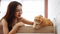 Studi Ungkap Parasit pada Kucing yang Bisa Menginfeksi Manusia