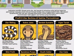 8 Ular Berbisa yang Sering Muncul di Dekat Hunian Manusia, Kenali Cirinya