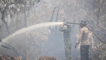 Polda Riau Tangani 60 Perkara Karhutla Sepanjang 2026, 63 Orang Jadi Tersangka