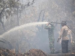 Karhutla Riau Menurun, Penanganan Kebakaran di Kerumutan Diperkuat Via Udara