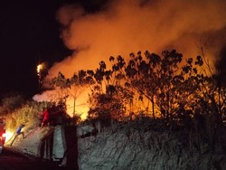 Karhutla Kutai Barat Meluas, 415,51 Hektare Hutan dan Lahan Terbakar