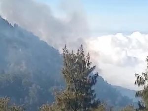Kebakaran Arjuno-Welirang Merembat ke Gunung Kembar