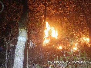 Gubernur Sulsel Andi Sudirman Ajak Warga Cegah Kebakaran Hutan dan Lahan