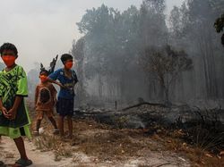 Darurat Karhutla! Ini Dampak Mengerikan Asap Kebakaran Hutan bagi Anak-anak