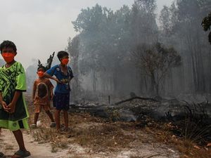 Darurat Karhutla! Ini Dampak Mengerikan Asap Kebakaran Hutan bagi Anak-anak