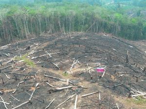 Anggota DPRD Kalbar Desak TMC Atasi Kabut Asap: Jangan Salahkan Peladang!