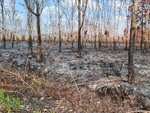 LHK Kalbar Dorong Buka Lahan Tanpa Dibakar, Kearifan Lokal Jadi Tantangan