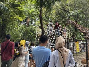 Tiket Masuk KBS Cuma Rp 11 Ribu Khusus Hari Jadi ke-110, Simak Tanggalnya