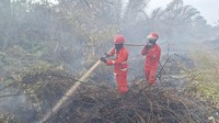 Luasan Karhutla di Muara Medak Muba Capai 115 Hektare