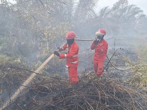 Luasan Karhutla di Muara Medak Muba Capai 115 Hektare